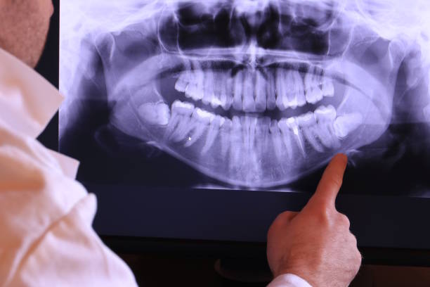 Best Emergency X-Rays and Diagnostics in Moody, AL
